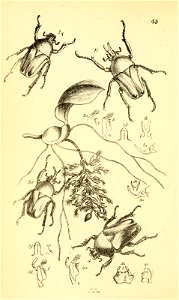 n255_w1150