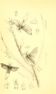n157_w1150