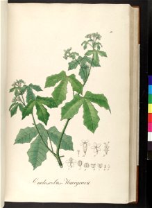 n107_w1150