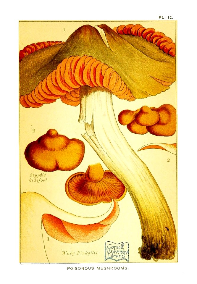 n122_w1150