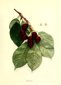 n256_w1150