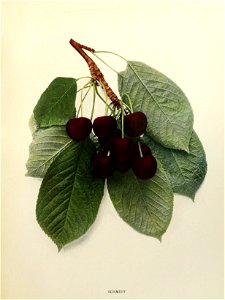 n302_w1150