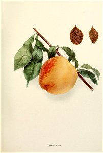 n378_w1150