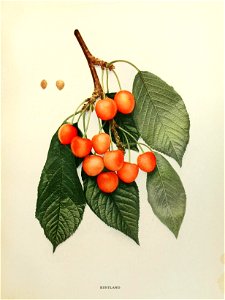 n230_w1150