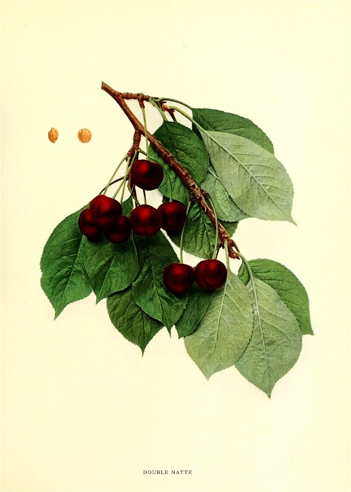 n180_w1150