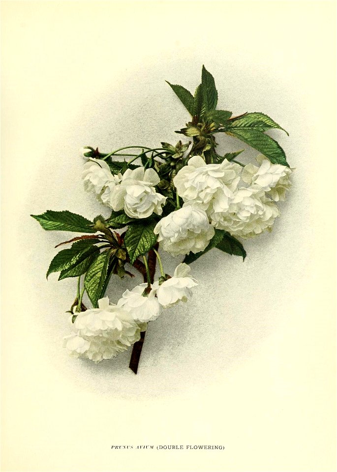 n56_w1150