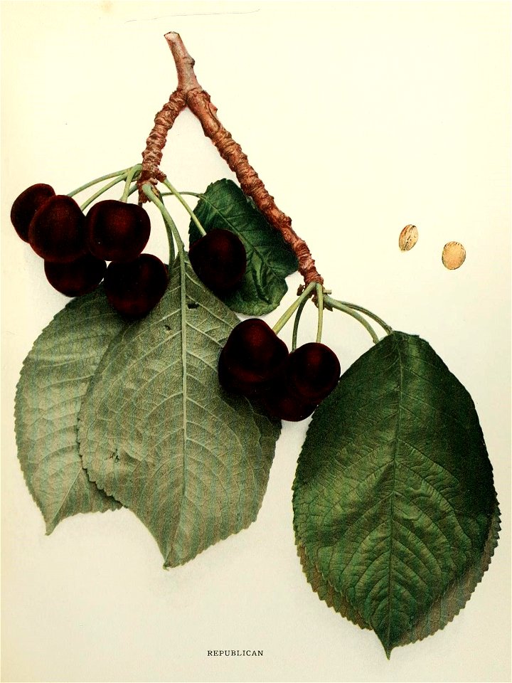 n292_w1150