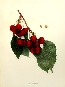 n288_w1150