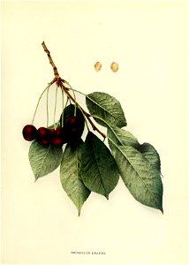 n162_w1150