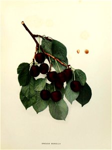 n214_w1150