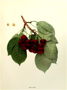 n144_w1150