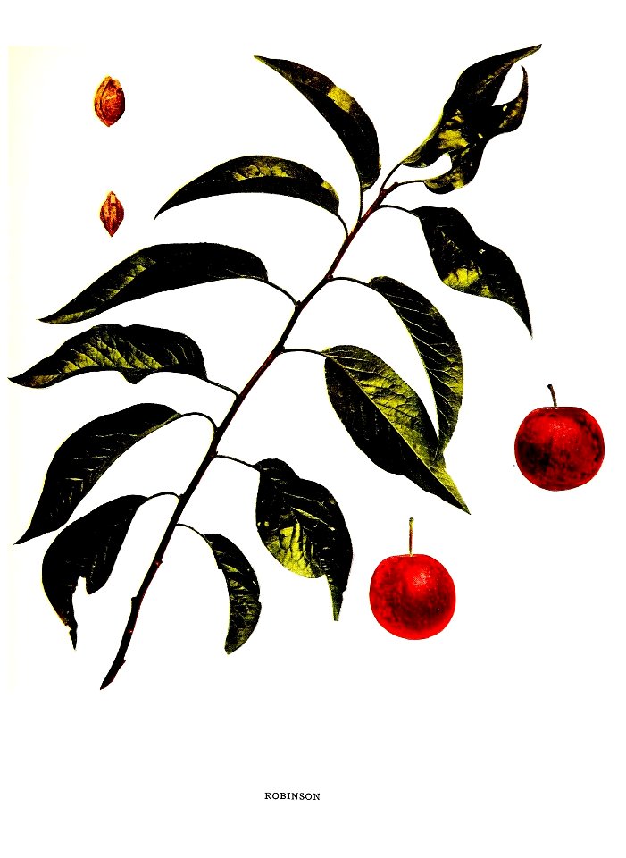 n506_w1150