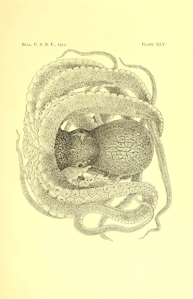 n116_w1150