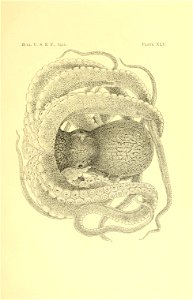 n116_w1150