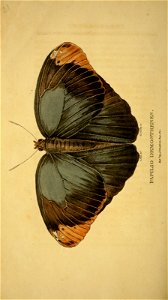 n187_w1150