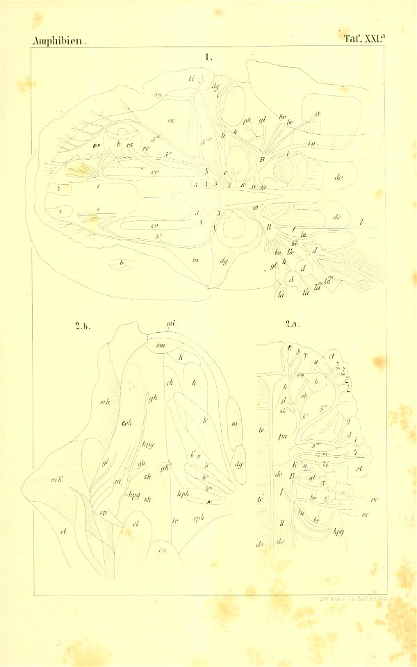 n826_w1150
