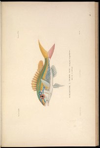 n72_w1150