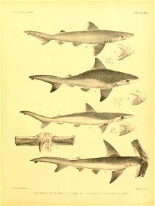 n384_w1150