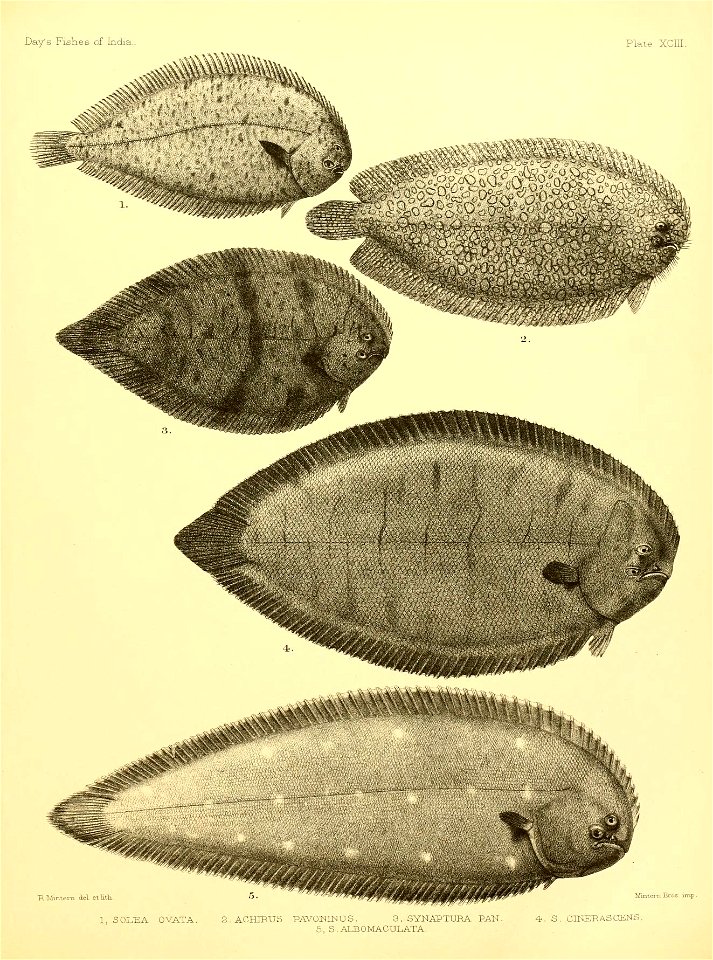 n204_w1150