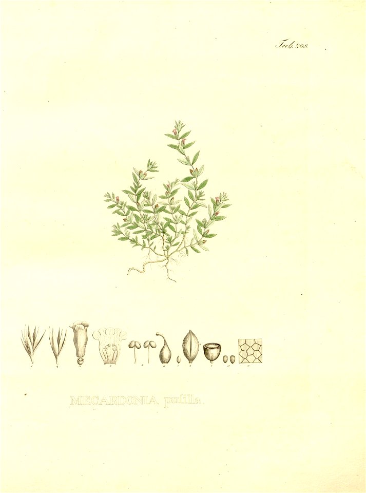 n8_w1150