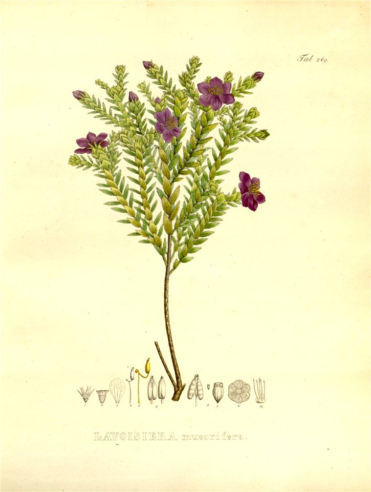 n69_w1150