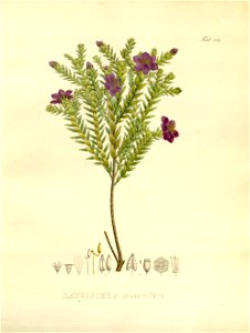 n69_w1150