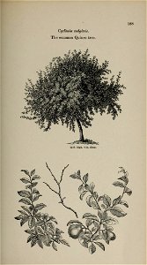 n176_w1150