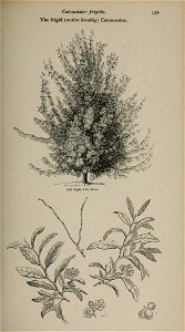 n116_w1150
