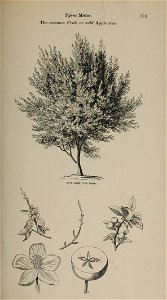 n146_w1150