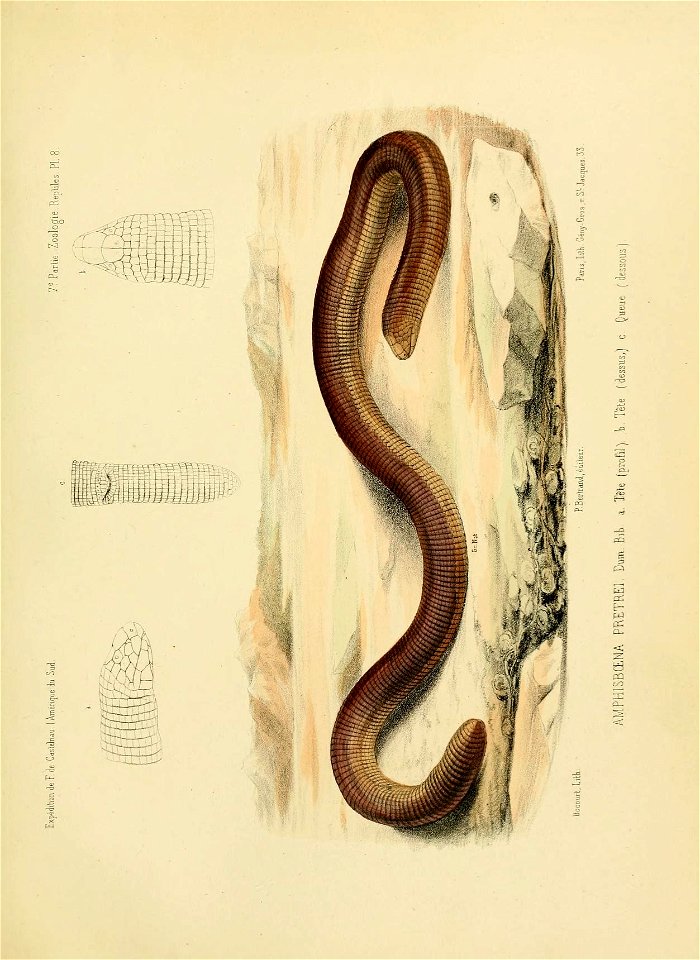 n120_w1150