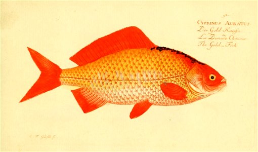 n186_w1150