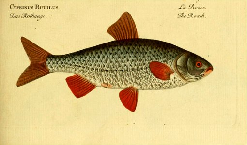 n6_w1150