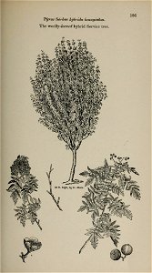 n172_w1150