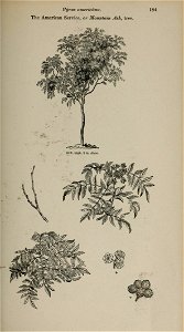 n168_w1150
