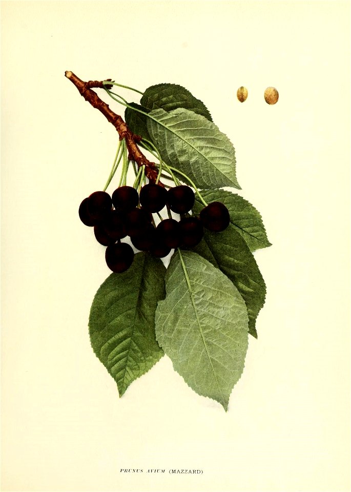 n108_w1150
