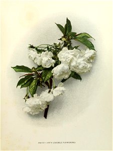 n58_w1150