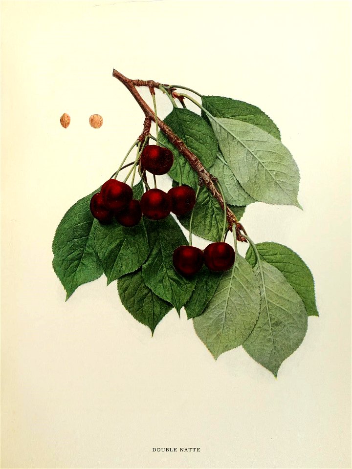 n182_w1150