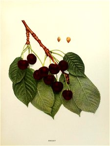 n234_w1150