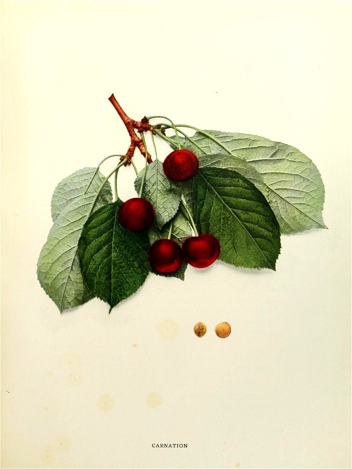 n168_w1150