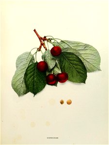 n168_w1150
