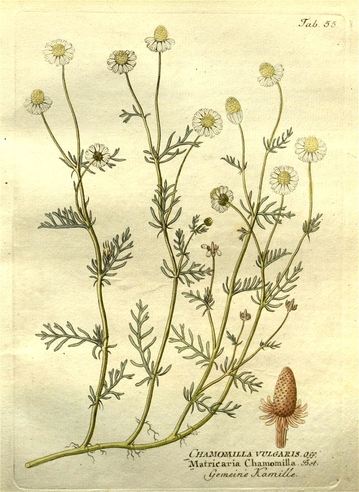 n161_w1150