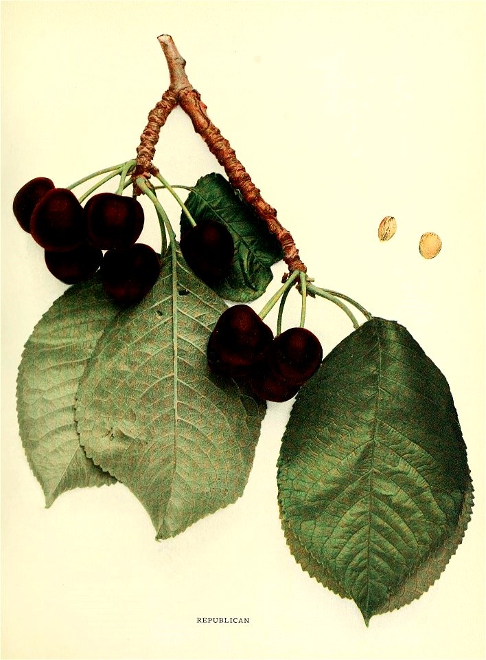n290_w1150