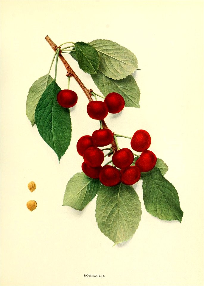 n158_w1150