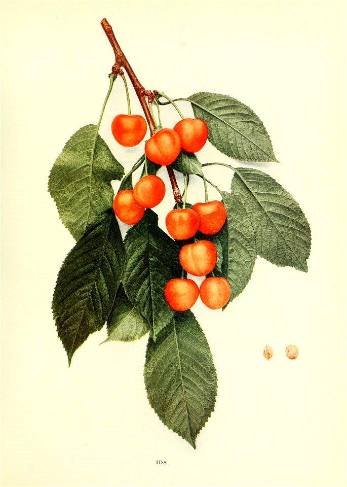 n222_w1150