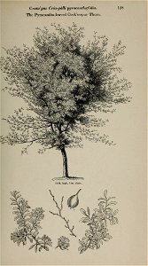 n56_w1150