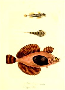 n110_w1150