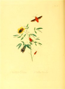 n99_w1150