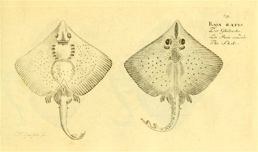 n158_w1150