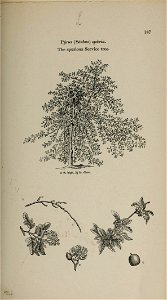 n174_w1150