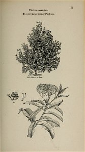 n114_w1150